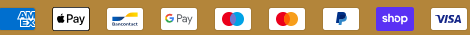 payment icon